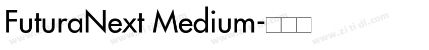 FuturaNext Medium字体转换